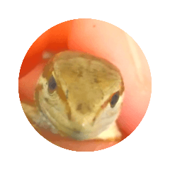 kaito_20211006152402