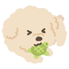 My Cream Toy Poodle