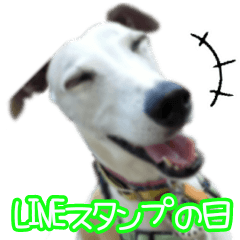 CUTE Whippets 11 "Day of LINE Sticker"