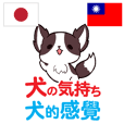 Feeling of Dog Taiwanese&Japanese