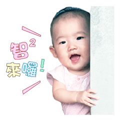 智智寶貝第一彈-週歲紀念版