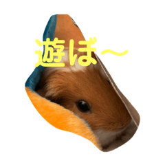 SAYA_20211006155123
