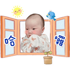 芋圓寶寶日常系列