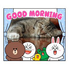 chiwchiw_20211006094833