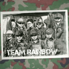 military sticker team rainbow