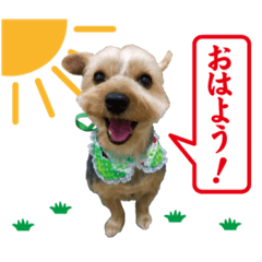 hana_20211005124716