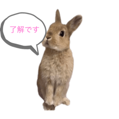 kaori_20211005130226