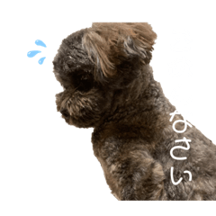 chihiro_20211006201528
