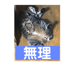 AKIRA_20211006203944