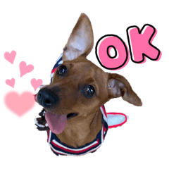 yayayu_20211006232216