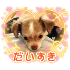 SUZU_20211005155312