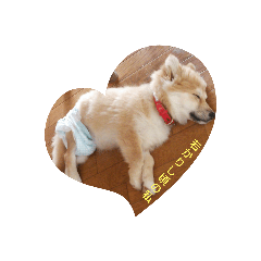 chihiro_20211005163821