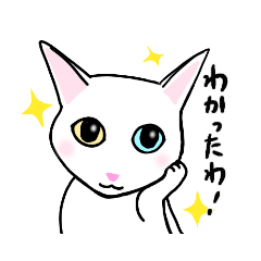きなれもん家のご隠居三人衆