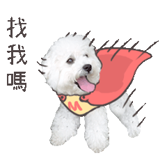 臭跩仔