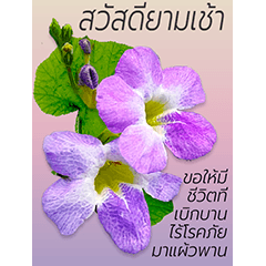 I really Love Flowers-thai