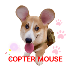COPTER MOUSE