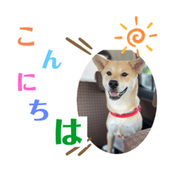 Yuka_20211007110959
