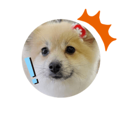 Kaori_20211006000750