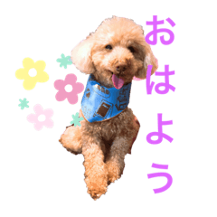 chihiro_20211006121956
