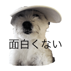 aoi_20211006123345