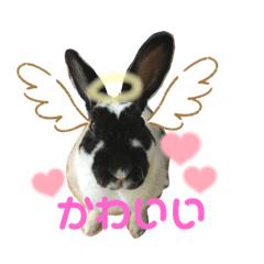 nanami_20211006124134