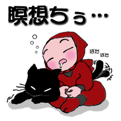 Red ninja and black cat
