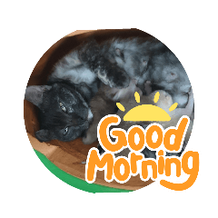 monvipa_20211006141746