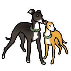 イタグレのネロくんマーレくんラインスタンプ Tomのlineスタンプ イタグレのネロくんマーレくんラインスタンプ Tomのlineスタンプ