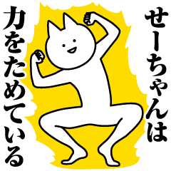Name Sticker Se-chan new