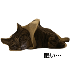 hana_20211006131110