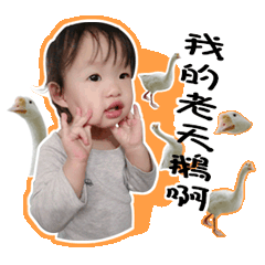 筱莓來了