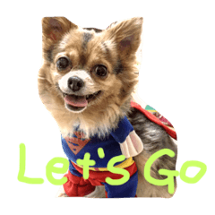 Dogs.tarou