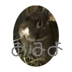 Himawari_20211007192524