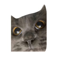 祝他生日快樂⋆͛☽