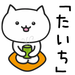 Cat For Taichi