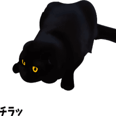 黒猫のアニメーションスタンプ