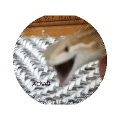 kaito_20211007202311