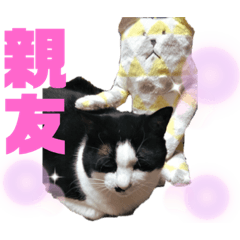 menchan_20211007214636