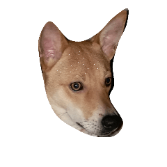 DOG Today – LINE stickers | LINE STORE