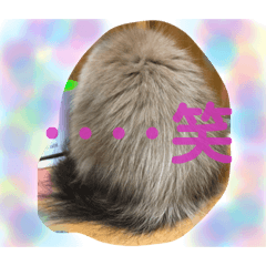 chie_20211007223624