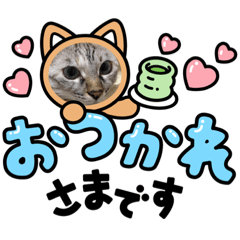 Mayumi_20211006222730