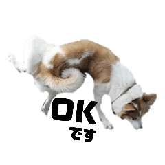 tomomi_20211007214255