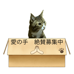 hana_20211006202622