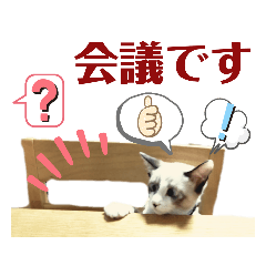 キキたんの使える?ビジネススタンプ