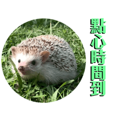 歐歐的放風時間！