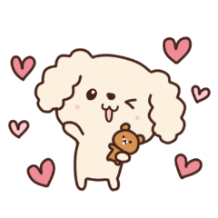 Cute fuwamoko toy poodle