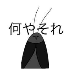 ウザいゴキブリ