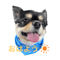 rina_20211007144100