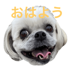 rina_20211007151456