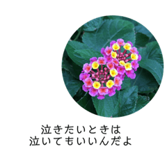 HANA_20211007151955